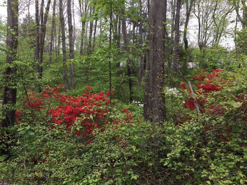 John and Linda's Travel Journal Woodbine, Maryland