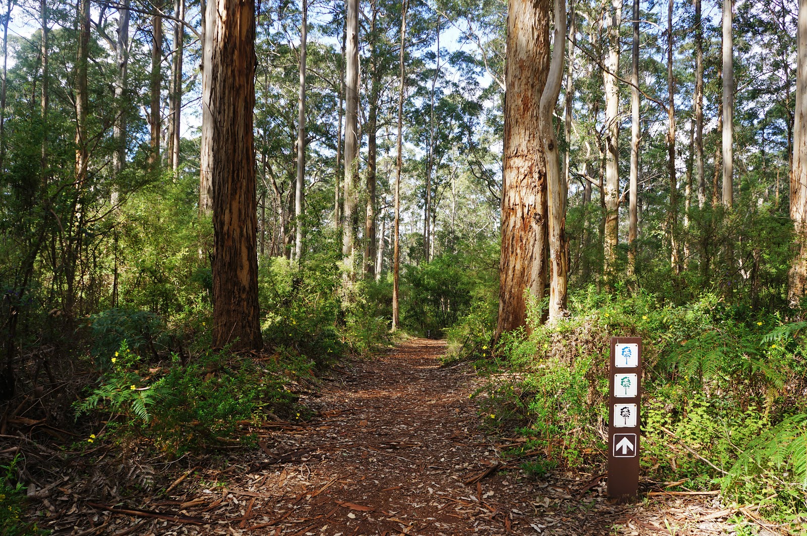 Gloucester Route (Gloucester National Park) The Long Way's Better
