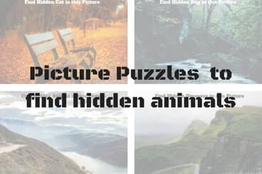 Picture Puzzles for Adults