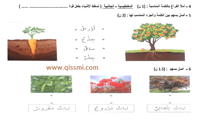 فرض النشاط العلمي