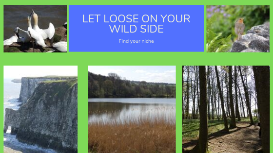Let loose on your WILD side