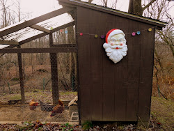 christmas cheer coop chickens