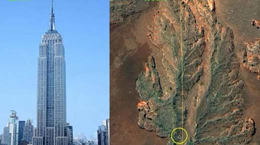Geólogo aficionado puede haber encontrado un tocón de árbol fosilizado de 13 kilómetros de largo