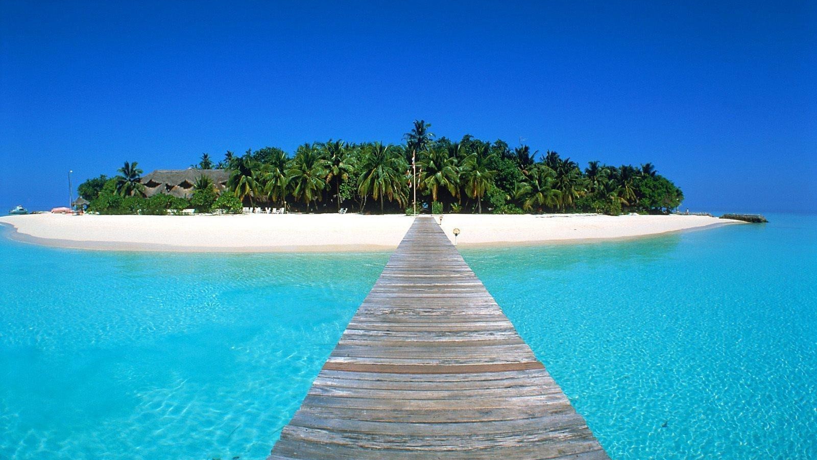 Mr Boettger S Class Blog Desert Island Dilemma