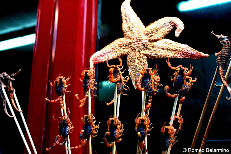 Starfish, Seahorse, and Scorpion Skewers Wangfujing Snack Street Beijing China