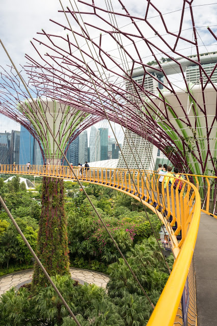 singapur, barvy, budovy, cestování, svět, gardens by the bay