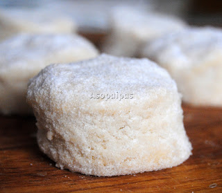  Nevaditos 