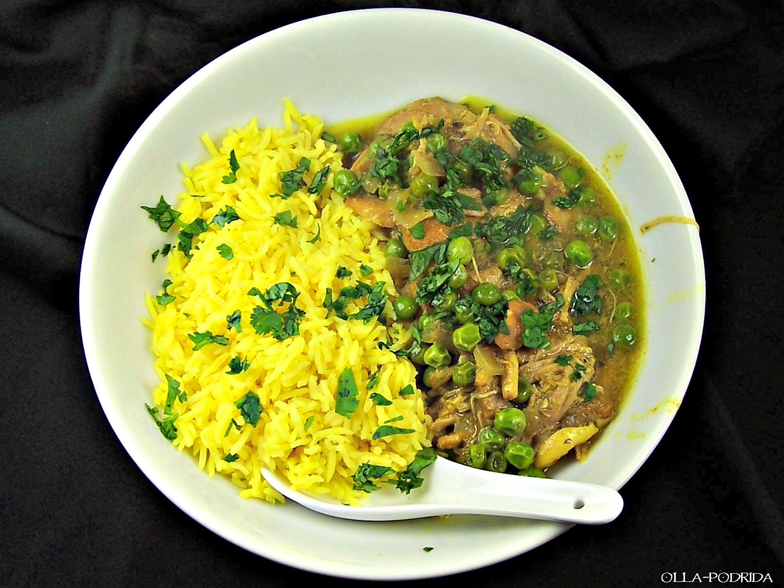 OllaPodrida Slow Cooker Coconut Chicken Curry