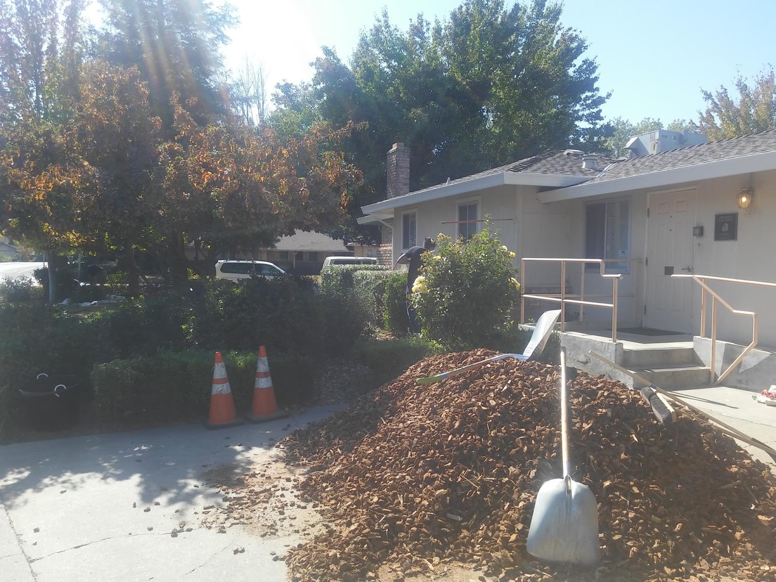 sacramento children's home crisis nursery Cleora Murry