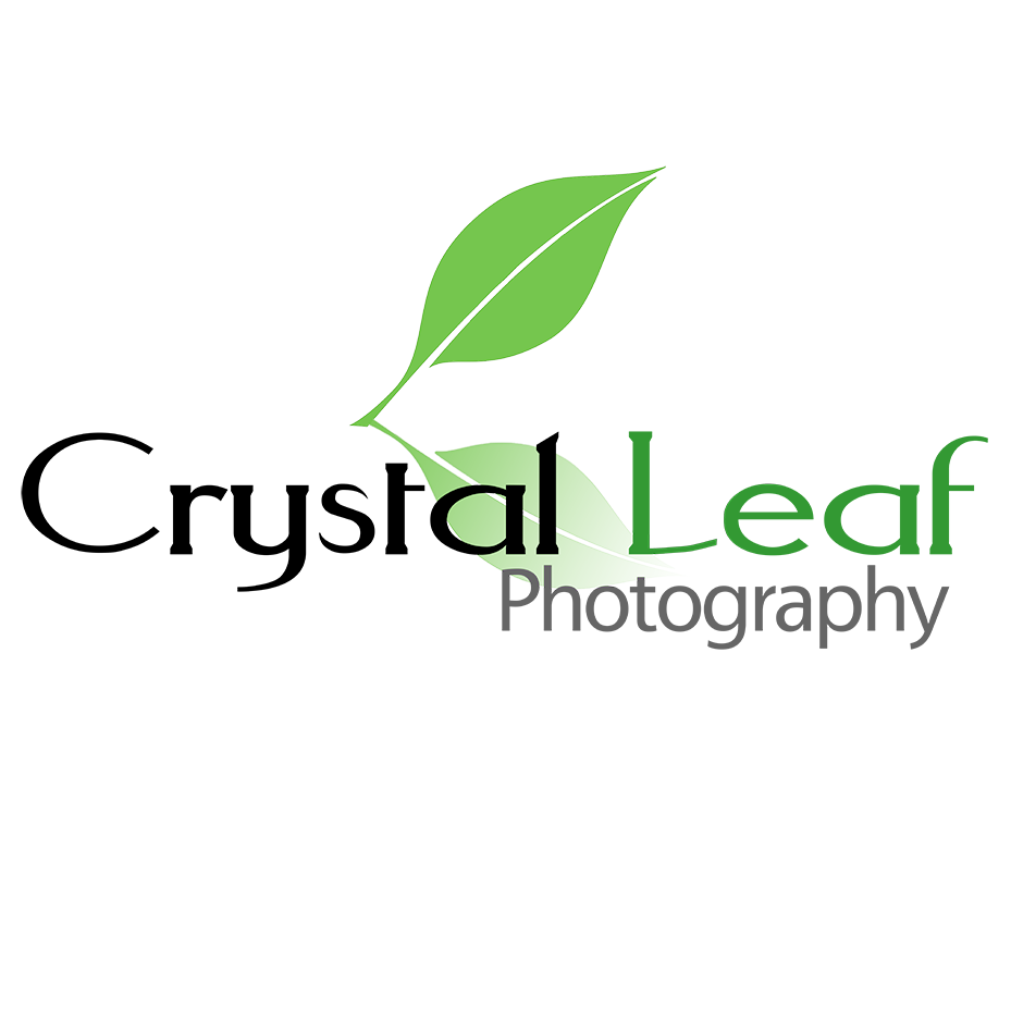 Crystal Leaf Photography