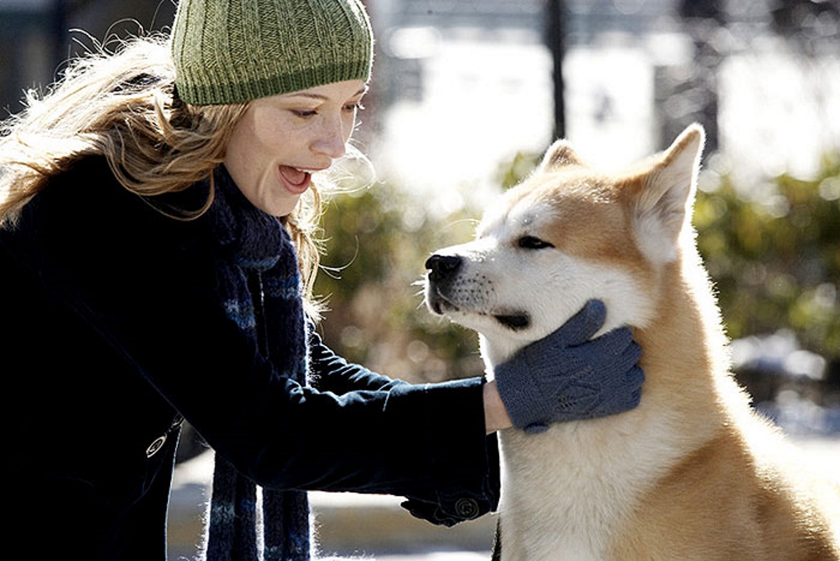 Hachiko Film Online Anschauen Hachiko Film Online Anschauen