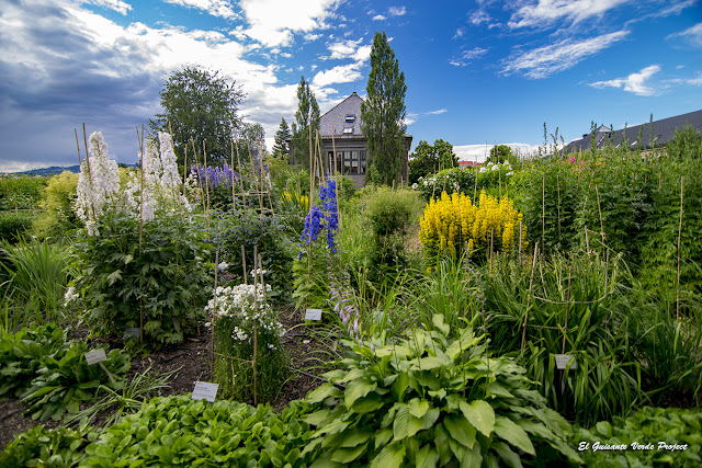 Jardin Botánico de Toyen - Oslo por El Guisante Verde Project
