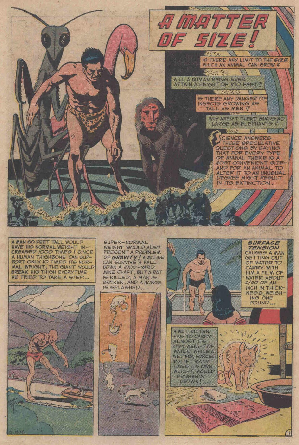 The Flash (1959) issue 216 - Page 18