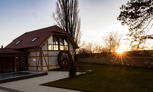 Schongauer Marchenwald Ein Erlebnis Fur Gross Und Klein Zwischen