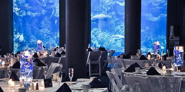 Wedding Venues In Pittsburgh Zoo Wedding pittsburgh zoo hours Wedding Venues In Pittsburgh Zoo Wedding pittsburgh zoo hours