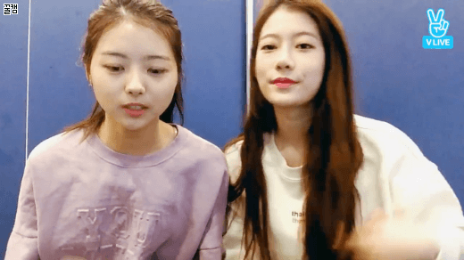 2.gif