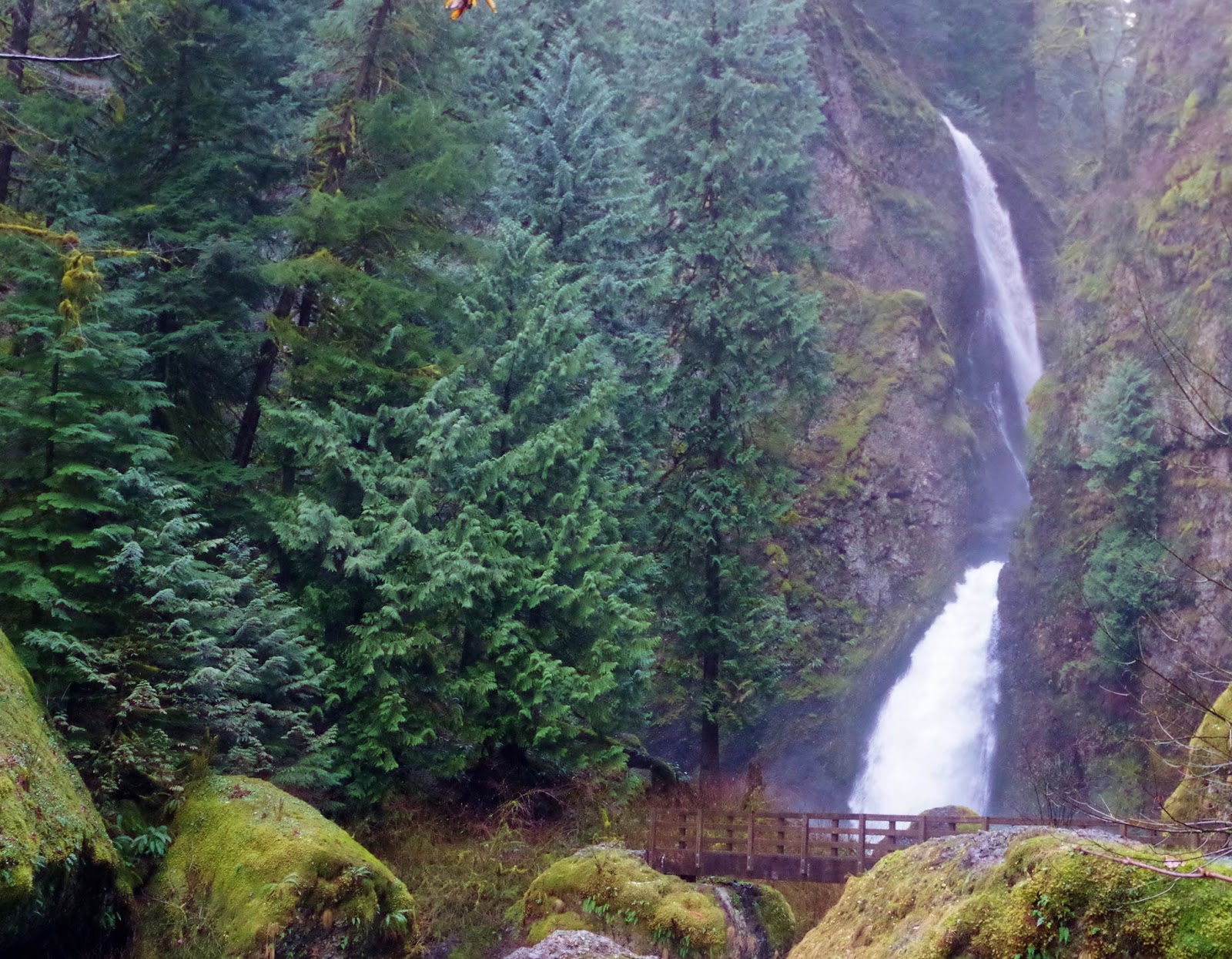 Pacific Northwest Seasons Winter Hiking in the Columbia