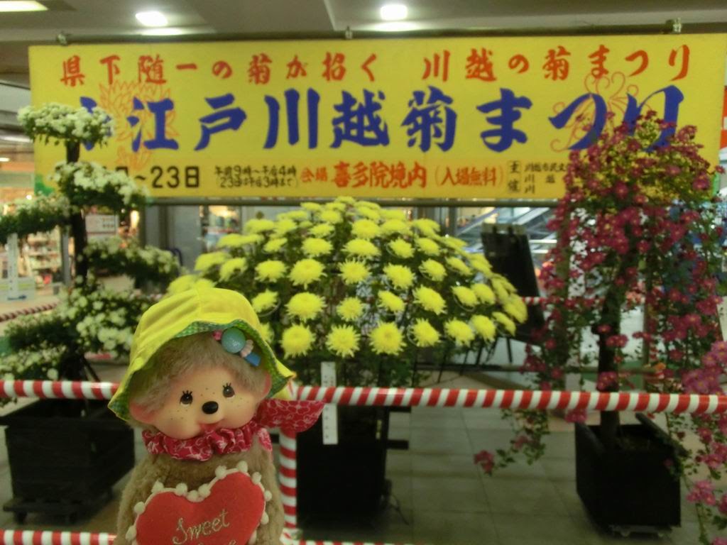 羊羊 愛在深秋 小江戶川越文化之旅 西武鐵道 喜多院day 10 上