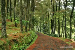 curug nangka bogor