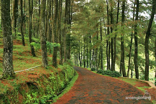curug nangka bogor