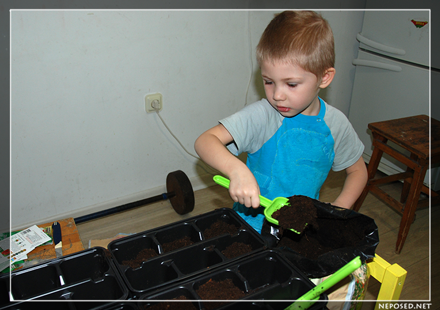 Как мы провели выходные )