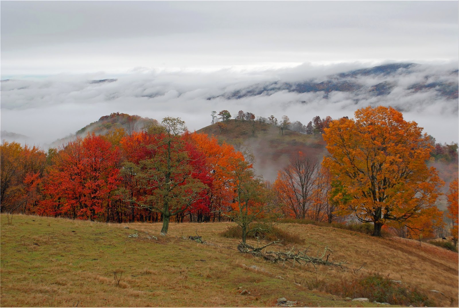 See Highland County Fall Fog