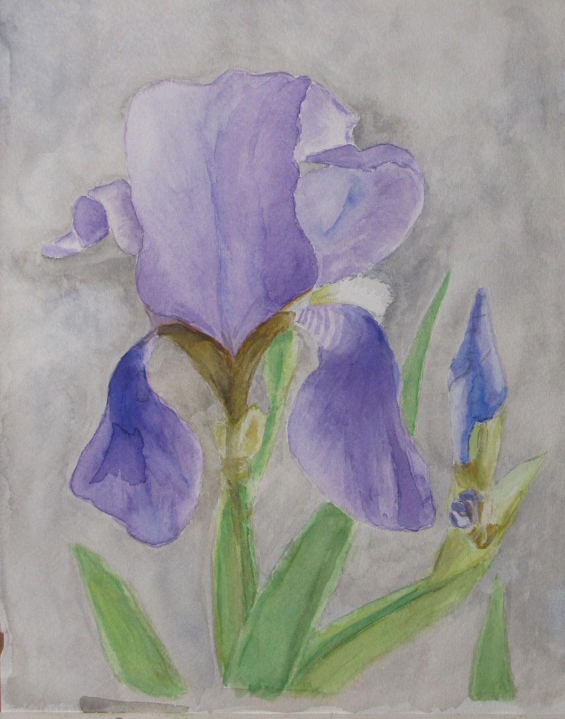 Plogging plus: Painting with watercolors The Iris