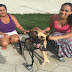 Capim Grosso: Cachorro ganha cadeira de locomoção após rifa na internet