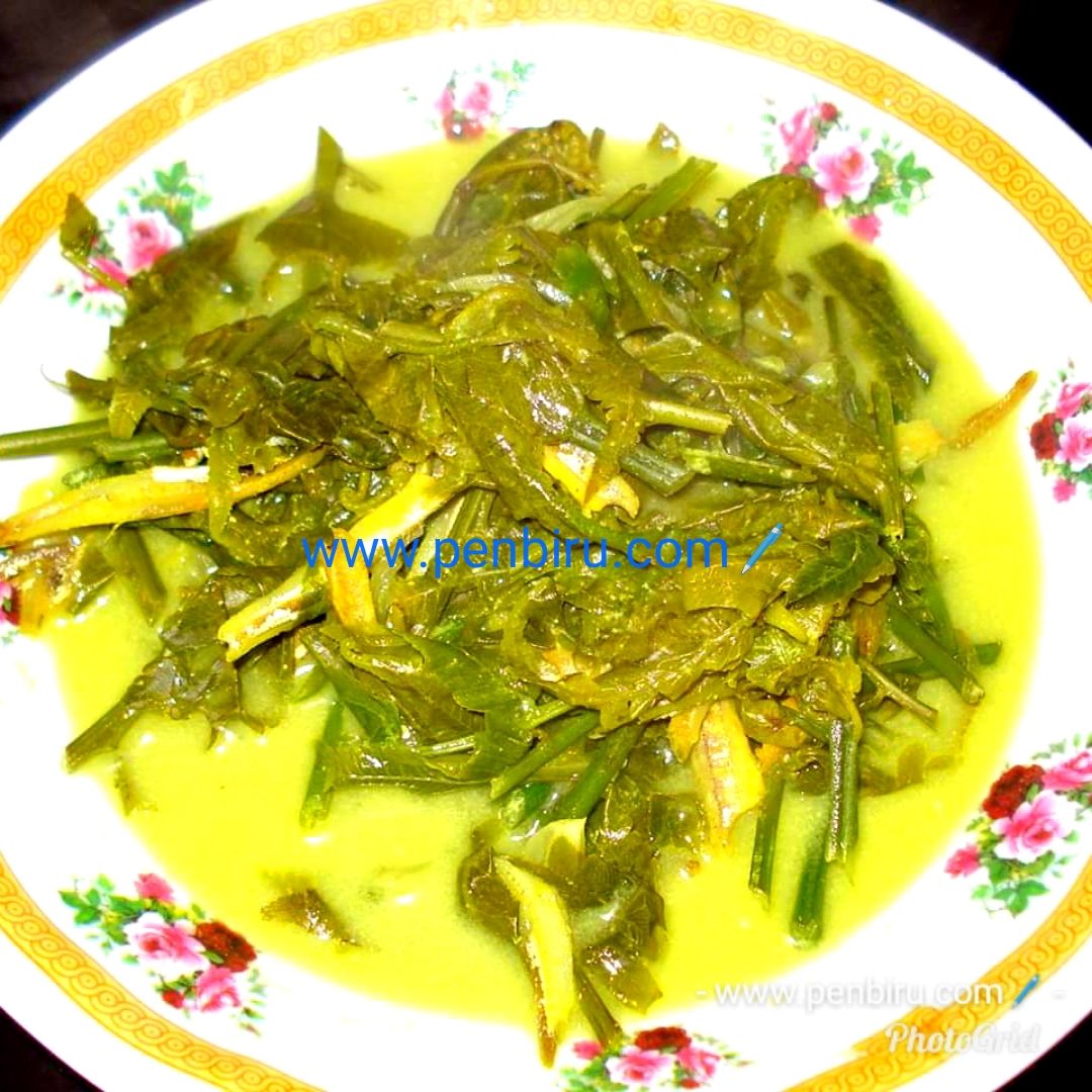 MASAK LEMAK PUCUK PAKU