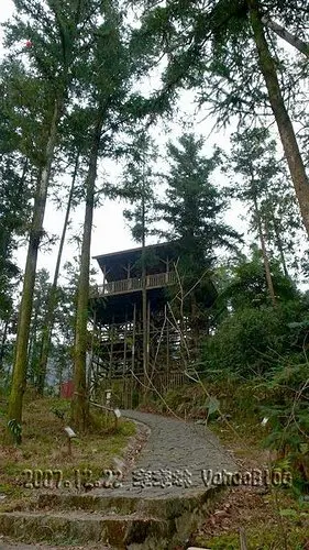 內湖國小全台最美的森林小學|南投鹿谷景點