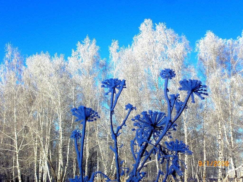 Проявить январь. Февраль картинки. Январь картинки. Синий январь. Картинки февраль природа.