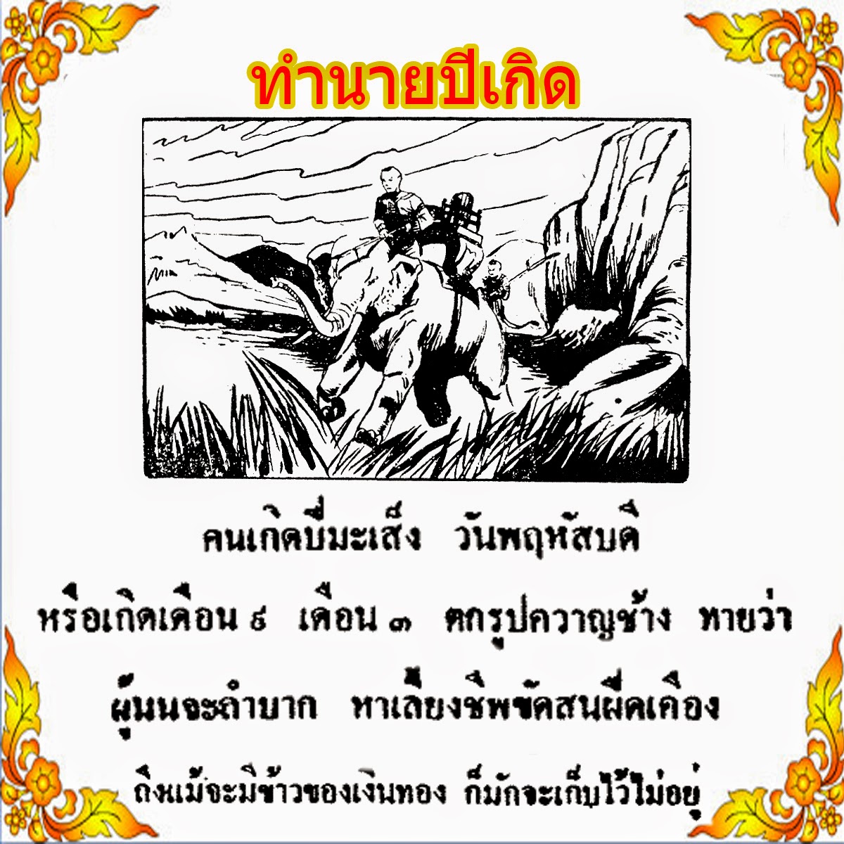 My Image 72