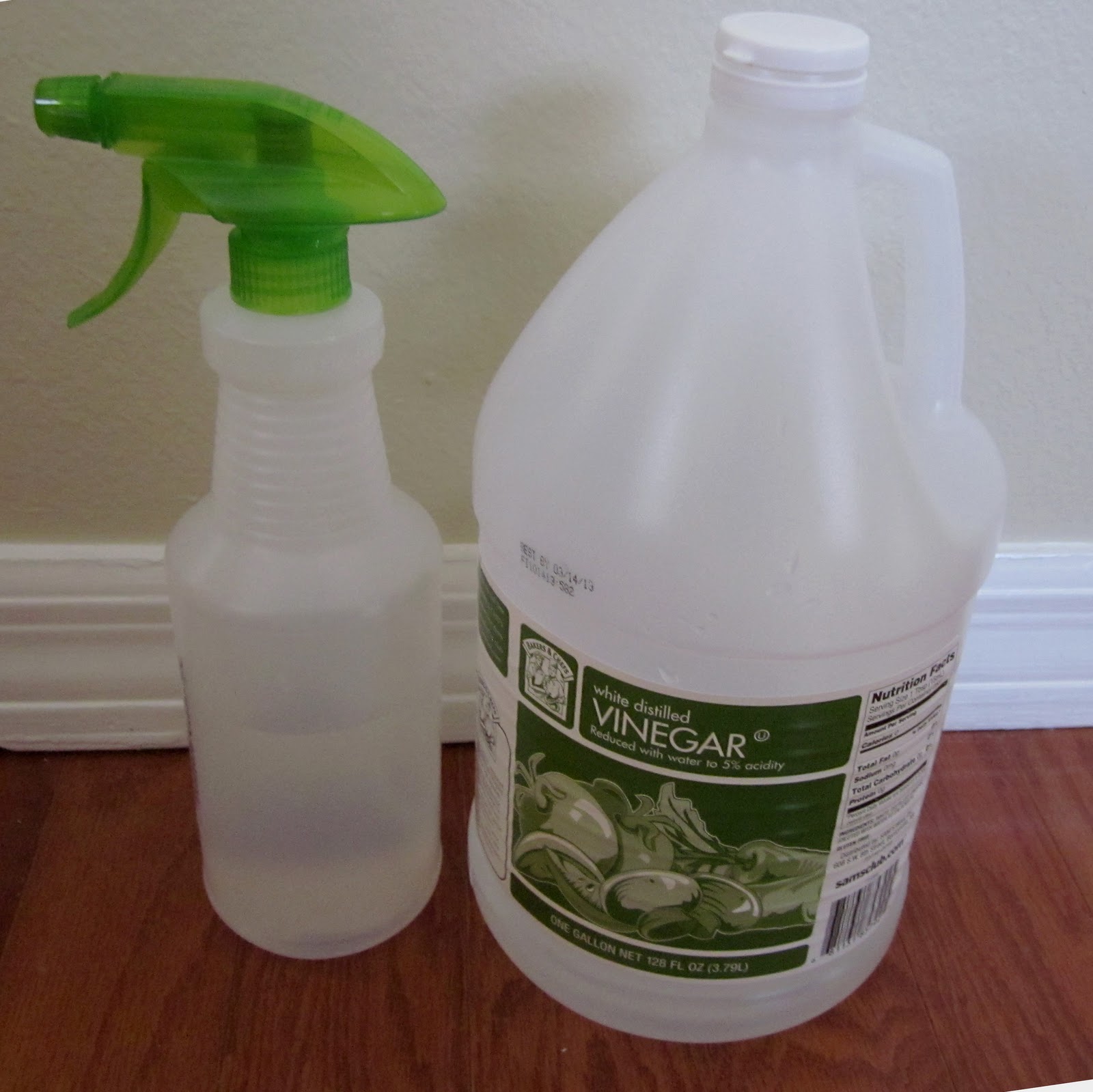 Vinegar Water Glass Cleaner 44