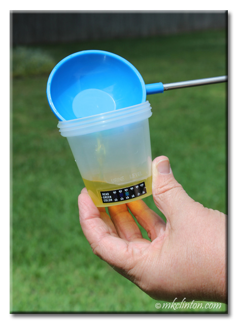 Pouring urine into test cup