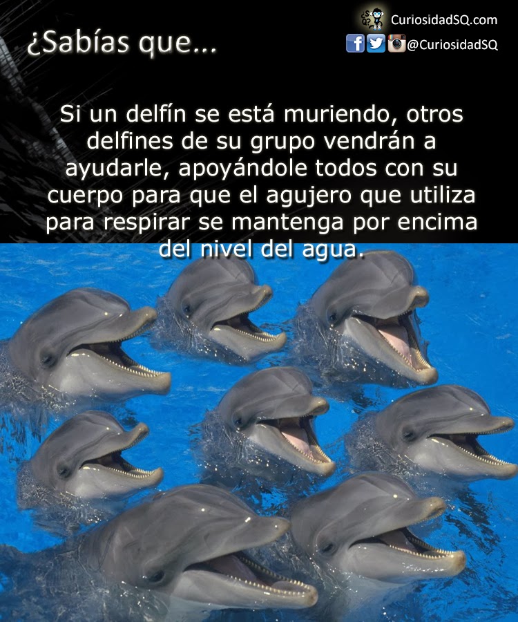 Video lesviana infomader casas de madera masajes eroticos en badajoz webcam con chicas xxx caseríos la cruz heredado el popular citas una Mujeres solteras buscan sexo acapulco de juárez