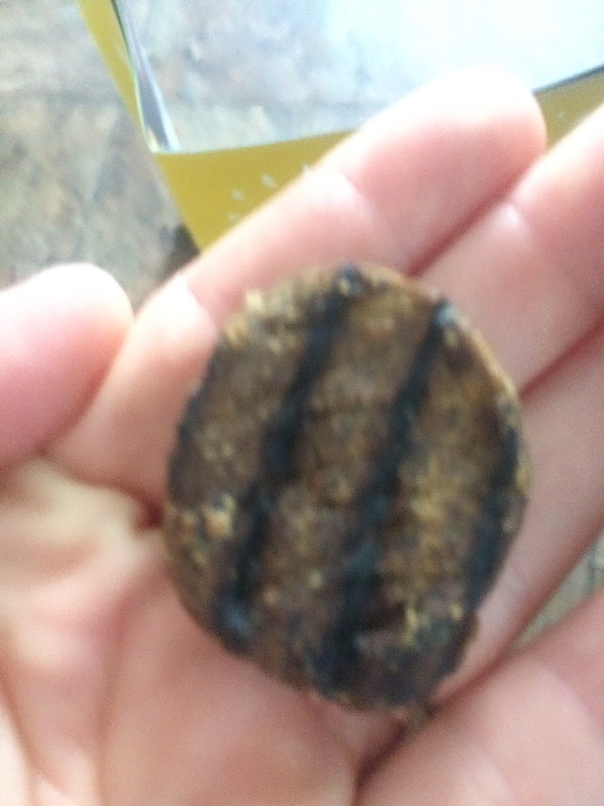 Burger Bites Tasty Dog Treat Review ChewyInfluencer