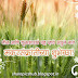 Happy Makar Sakranti Greeting Card in Marathi