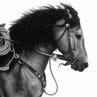 caballos-poder-equino-en-dibujos