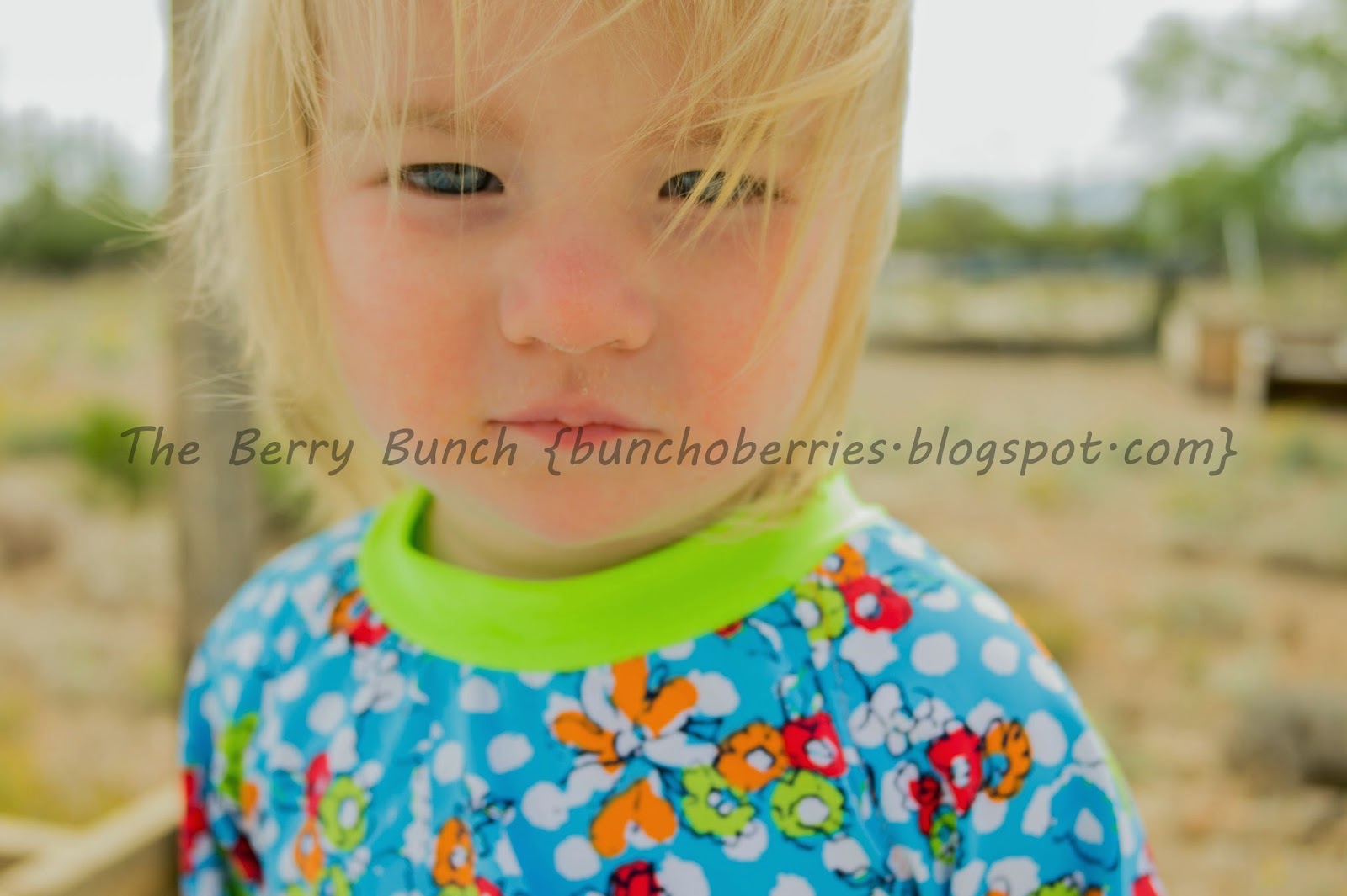 The Berry Bunch: GYCT Designs: Rival Raglan as Swimwear! {Monthly Monday Madness Sale}