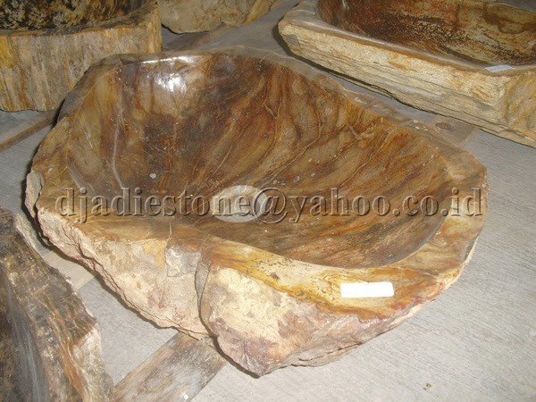 petrified wash basin - vasque wood fossil