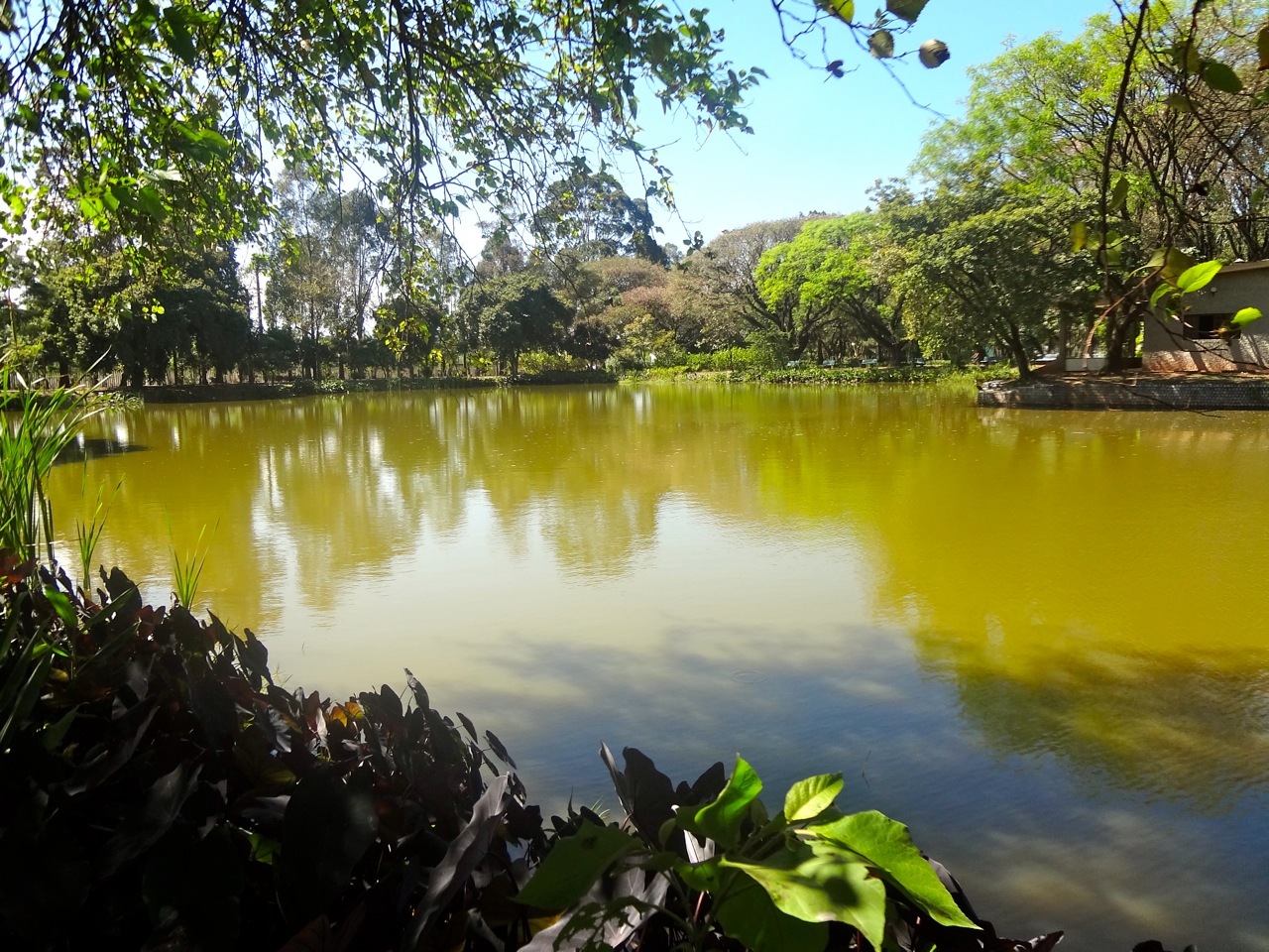 Parque Leopoldina Orlando Villas-Bôas recebe jogo decisivo do campeonato  brasileiro de futebol americano, Secretaria Municipal do Verde e do Meio  Ambiente