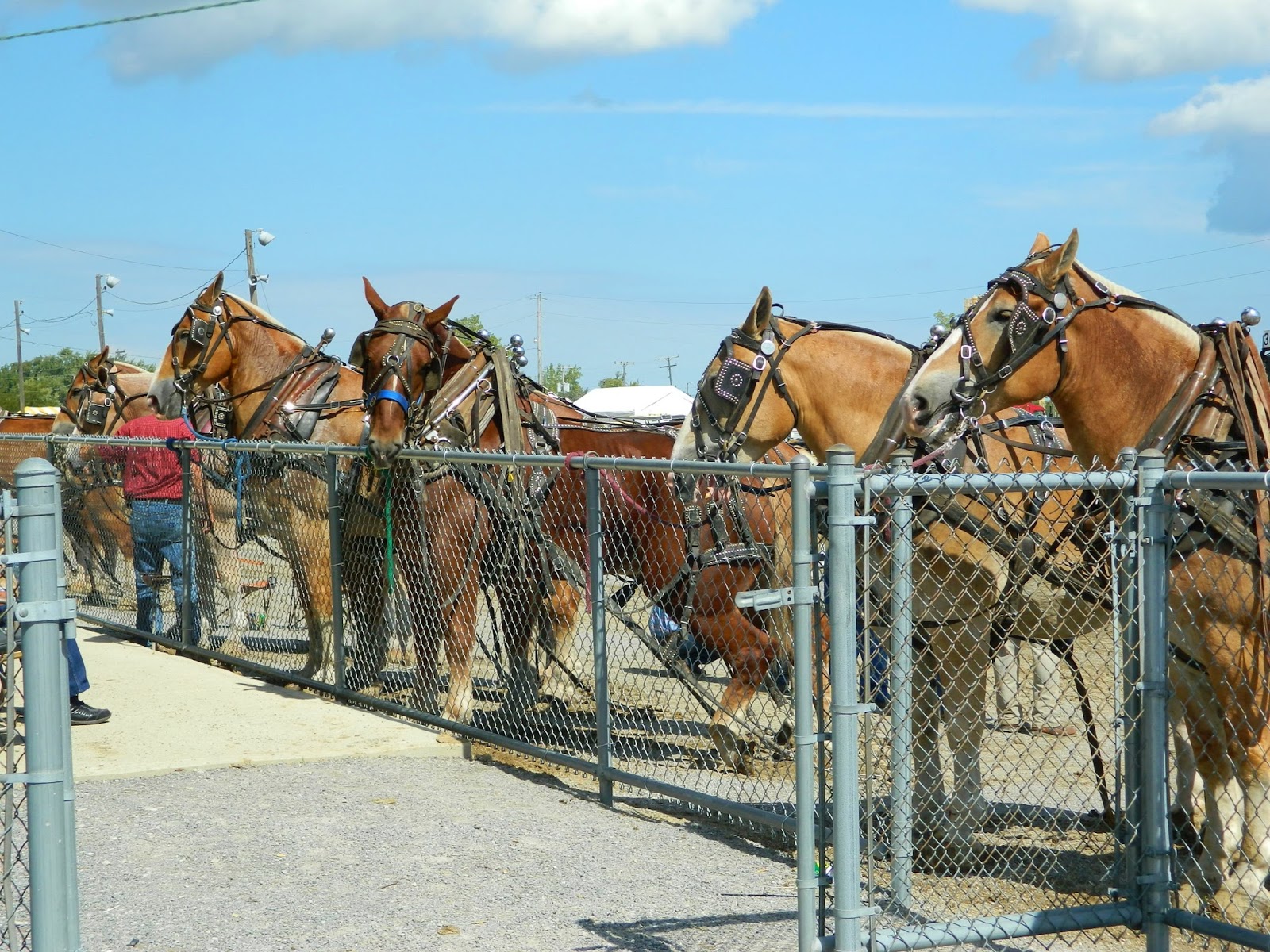 Flat Rock Creek Fall Festival Paulding, Ohio