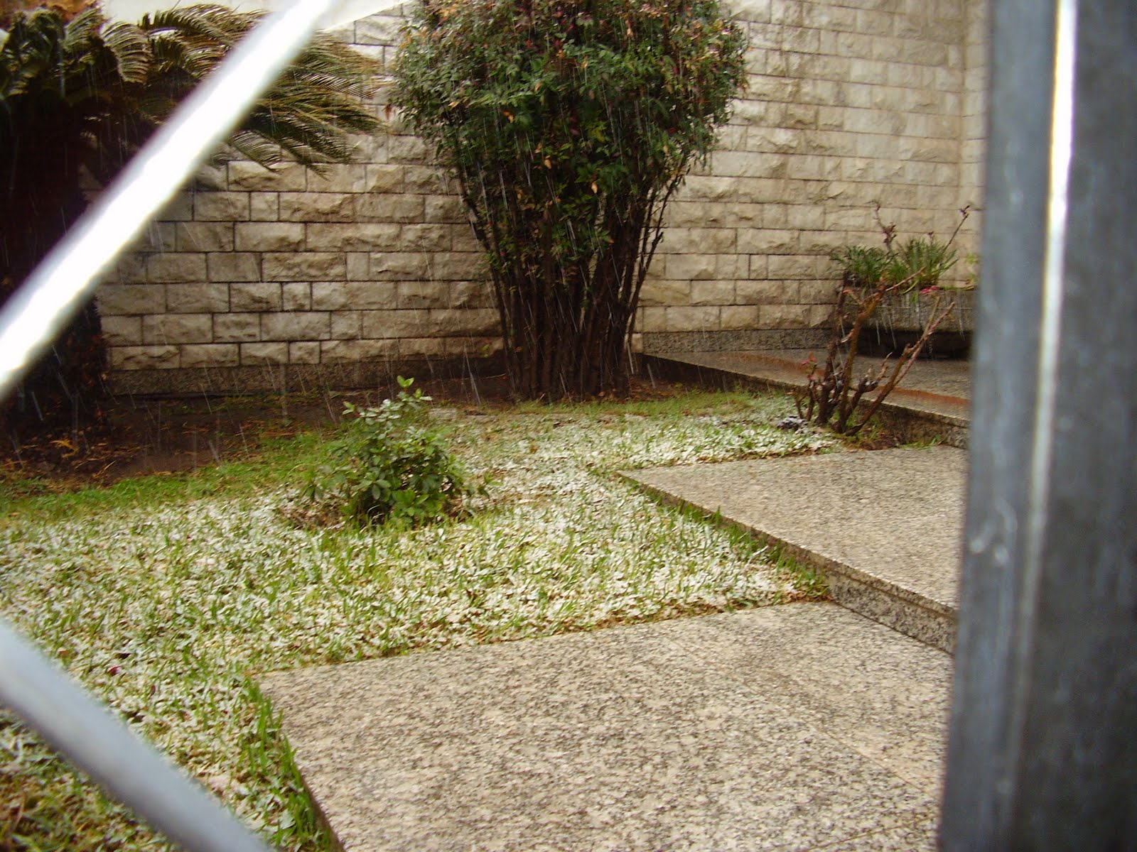 Aula de Adultos: agosto 2011