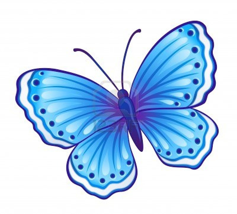 vector blue butterfly polyommatus icarus with open wings title=
