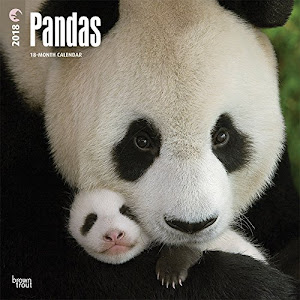 Pandas - Pandabären 2018 - 18-Monatskalender: Original BrownTrout-Kalender [Mehrsprachig] [Kalender] (Wall-Kalender)