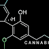 Science Explains How Cannabis Kills Cancer Cells (Video)