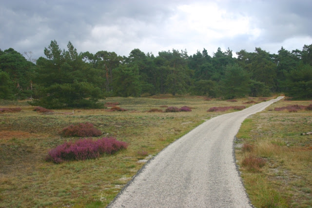 Crusher dust pathways made for easy to cruise bike rides  through  Nationale Park De Hoge Veluwe in Otterlo. 