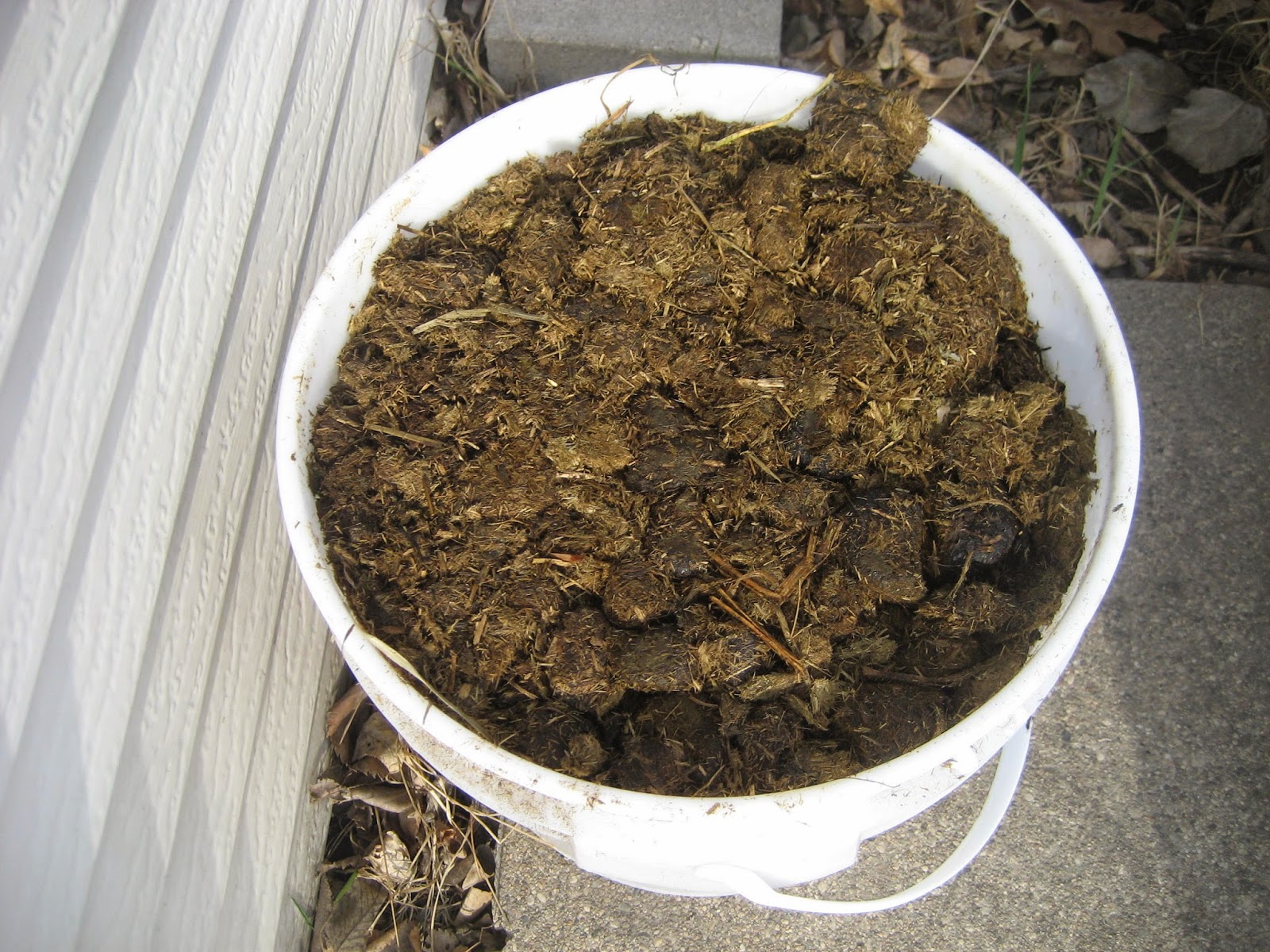 Deaf Dogs and Benevolent Gnomes The Frosting BucketHorse Poop Triangle