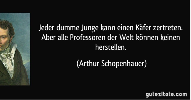 ZITATFORSCHUNG: "Jeder dumme Junge kann einen Käfer zertrete