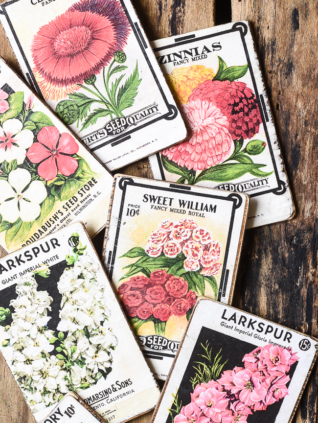 Vintage Seed Packs